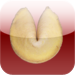 Biscoito da Sorte / FORTUNE COOKIE